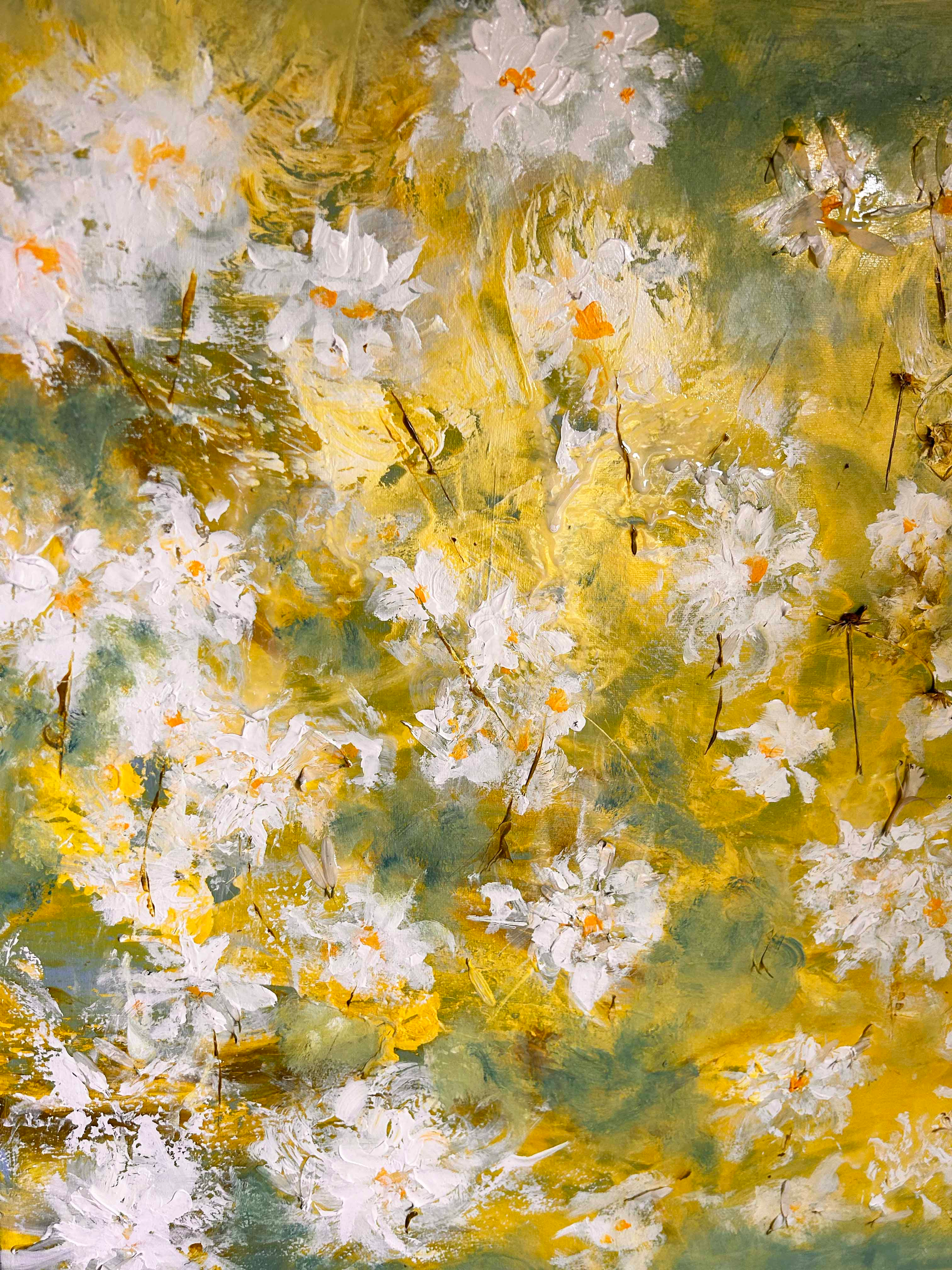 Daisies